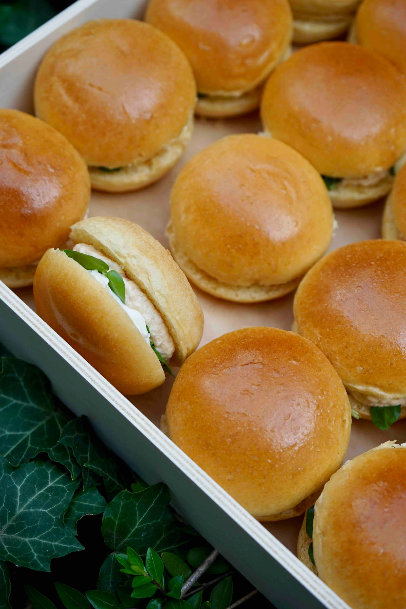 Buns Dans La Boite